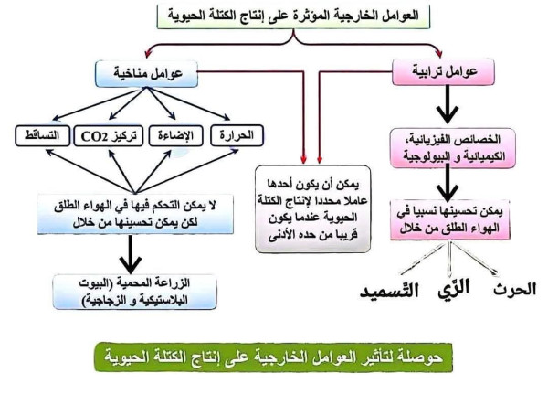 مخطط العوامل الخارجية المؤثرة على إنتاج الكتلة الحيوية أولى ثانوي