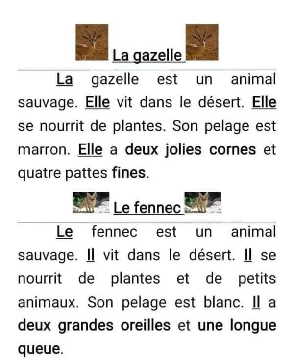 تعابير بالفرنسية السنة الخامسة ابتدائي   نماذج لتعابير الفصل الاول في مادة الفرنسية   وصف حيوان
