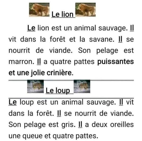 تعابير بالفرنسية السنة الخامسة ابتدائي   نماذج لتعابير الفصل الاول في مادة الفرنسية   وصف حيوان أسد ثعلب