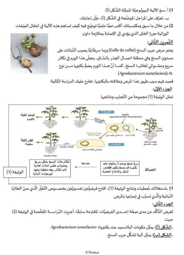 نماذج فروض  علوم طبيعية السنة الثانية ثانوي الفصل الثاني علوم تجريبية مع التصحيح