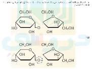تفسير الرسوم العلمية انسخ رسم السكروز على ورقة منفصلة، وضع دائرة حول مجموعة الإيثر الوظيفية التي تربط الوحدات الأساسية السكرية معا.حل درس الكربوهيدرات ثالث ثانوي