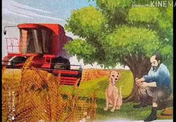 تحضير وتلخيص نص الحصاد والكلب وقطعة الخبز للسنة الخامسة ابتدائي