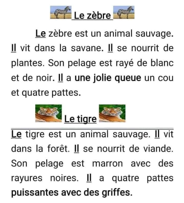 تعابير بالفرنسية السنة الخامسة ابتدائي   نماذج لتعابير الفصل الاول في مادة الفرنسية   وصف حيوان حمار وحشي نمر