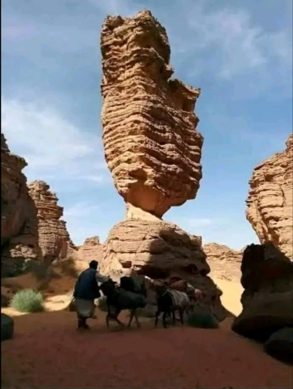 مدينة سيفار ويكيبيديا مدينة الألغاز الجزائرية