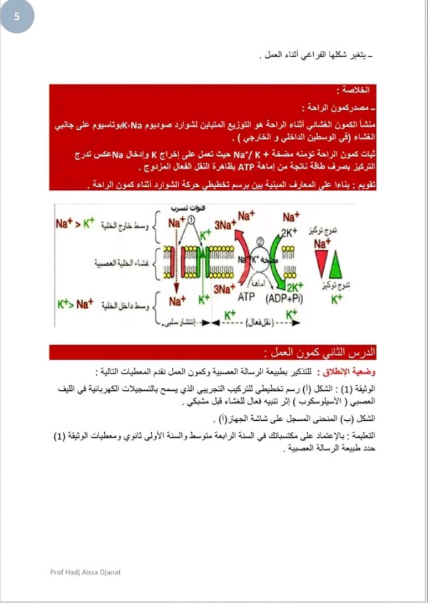 تحضير درس كمون الراحة وكمون العمل 3 ثانوي بكالوريا