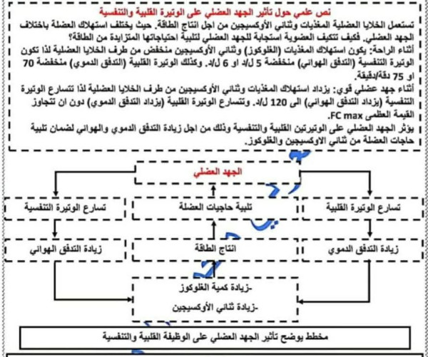 نص علمي مخطط حول تأثير الجهد العضلي على الوتيرة القلبية و التنفسية   اولى ثانوي علمي