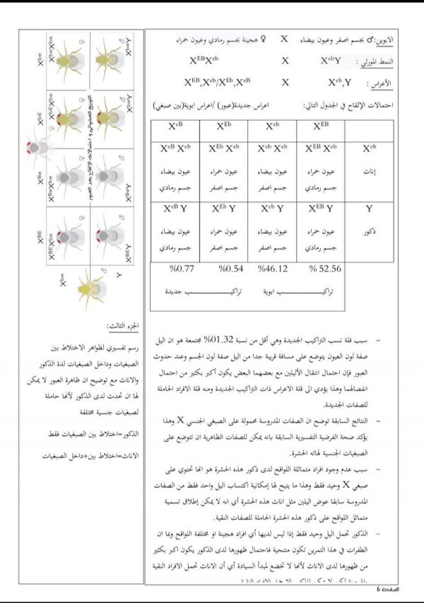 اختبارات السنة الثانية ثانوي علوم تجريبية مع التصحيح العلوم الطبيعية الفصل الثاني 2025 مقترح الثلاثي الثاني علوم طبيعية