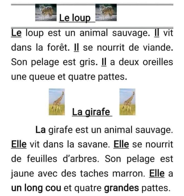 تعابير بالفرنسية السنة الخامسة ابتدائي   نماذج لتعابير الفصل الاول في مادة الفرنسية   وصف حيوان غزال وذاب