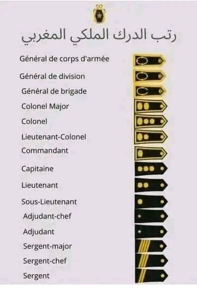 رتب الدرك الملكي المغربي الدرك الملكي المغربي ويكيبيديا تخصصات الدرك الملكي المغربي