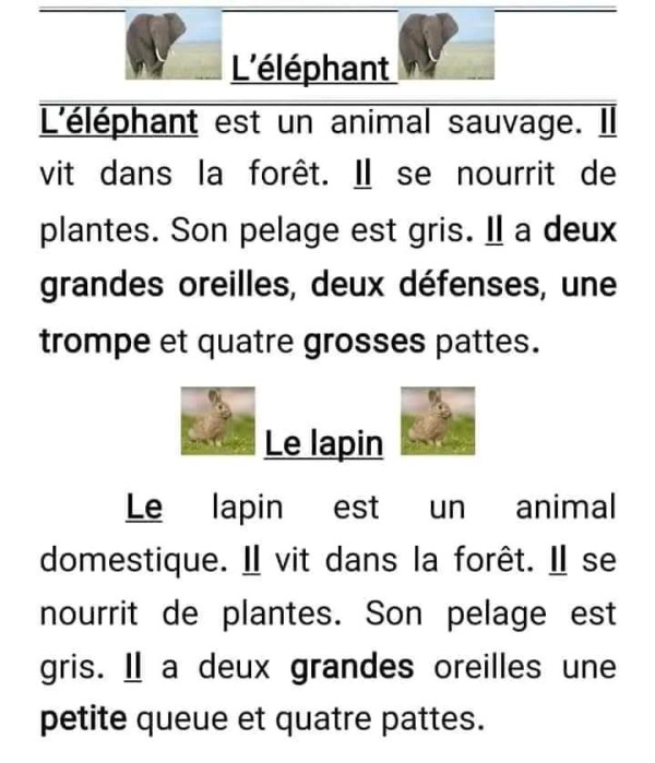 تعابير بالفرنسية السنة الخامسة ابتدائي   نماذج لتعابير الفصل الاول في مادة الفرنسية   وصف حيوان الفيل، الأرنب