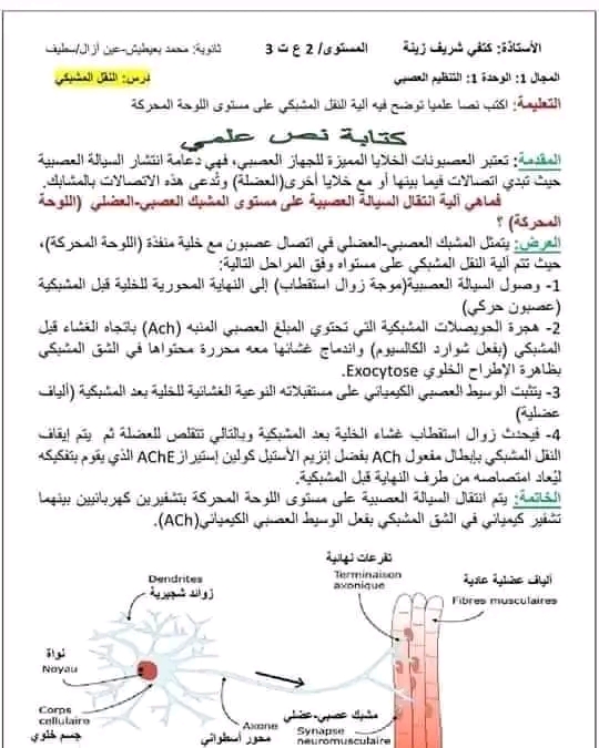 اكتب نص علمي توضح فيه آلية النقل المشبكي على مستوى اللوحة المحركة