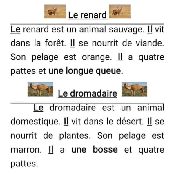 تعابير بالفرنسية السنة الخامسة ابتدائي   نماذج لتعابير الفصل الاول في مادة الفرنسية   وصف حيوان جمل ثعلب